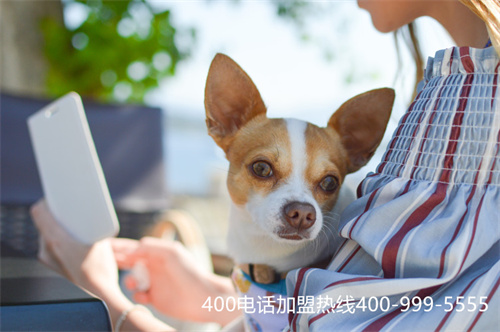 (怎么辦理400元電話號碼)(怎么辦理400元電話號碼的卡)