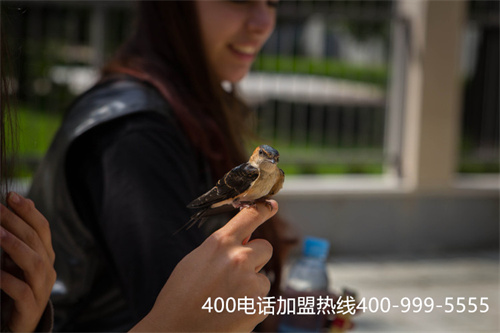 400電話申請需要什么（400電話怎么申請辦理）